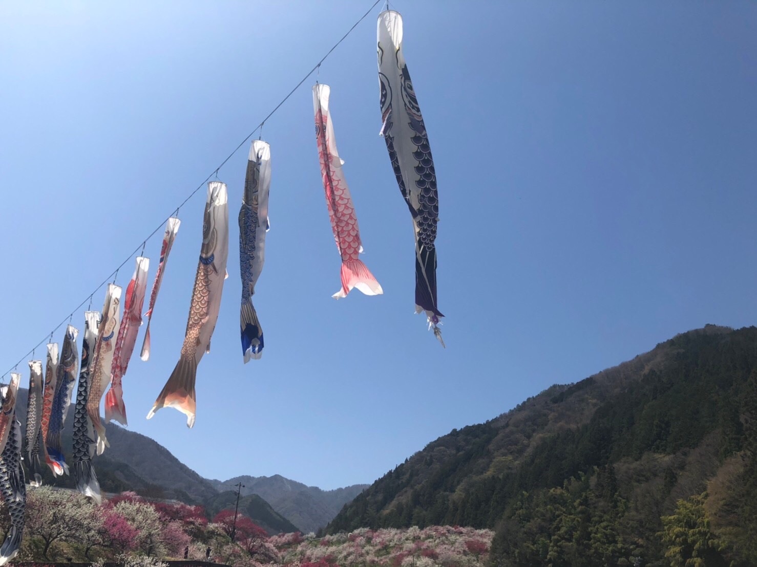 f:id:tabininjin:20210421221906j:image