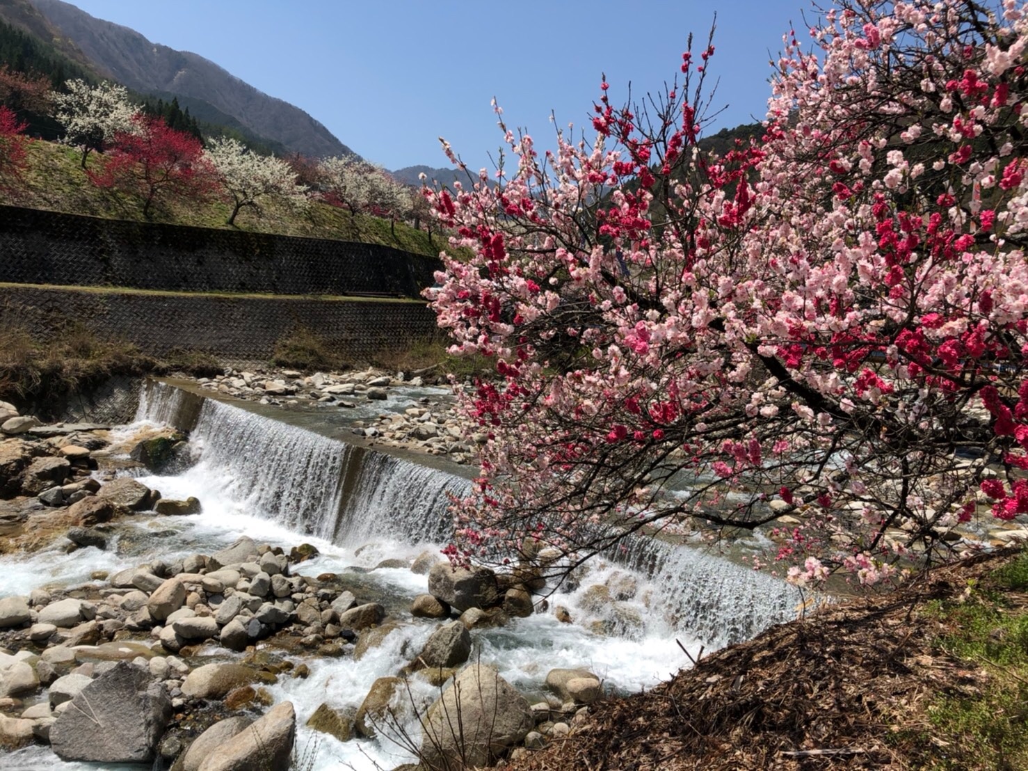 f:id:tabininjin:20210421221910j:image