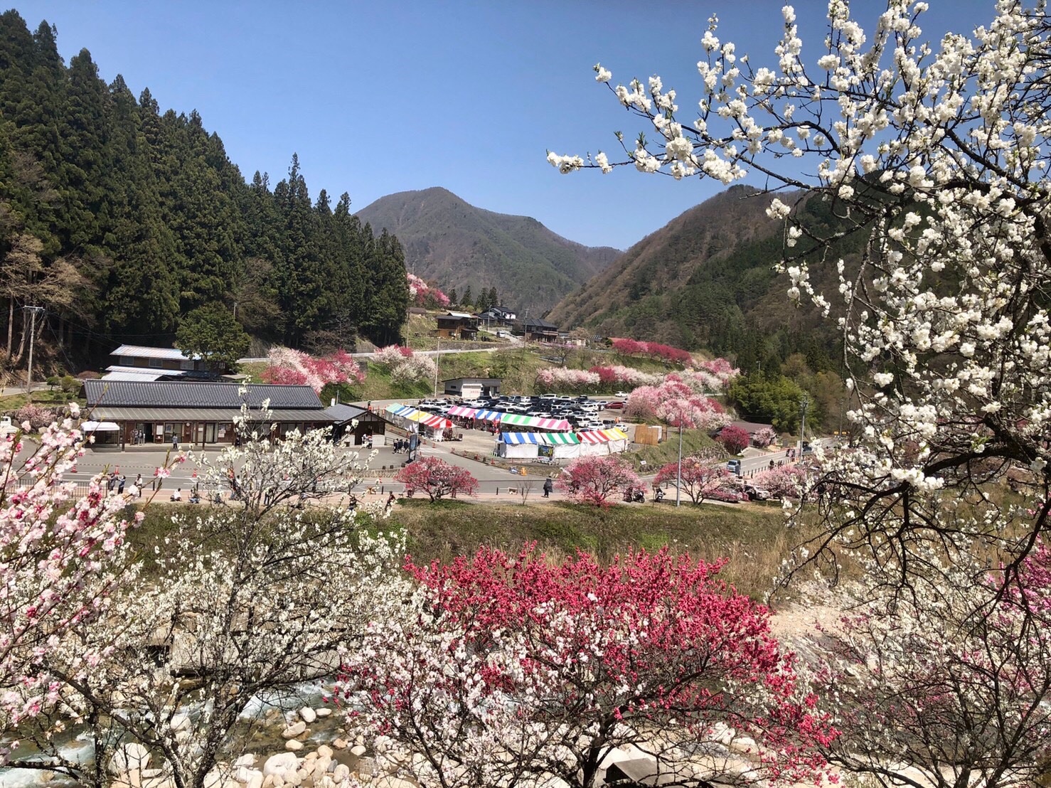 f:id:tabininjin:20210421221937j:image