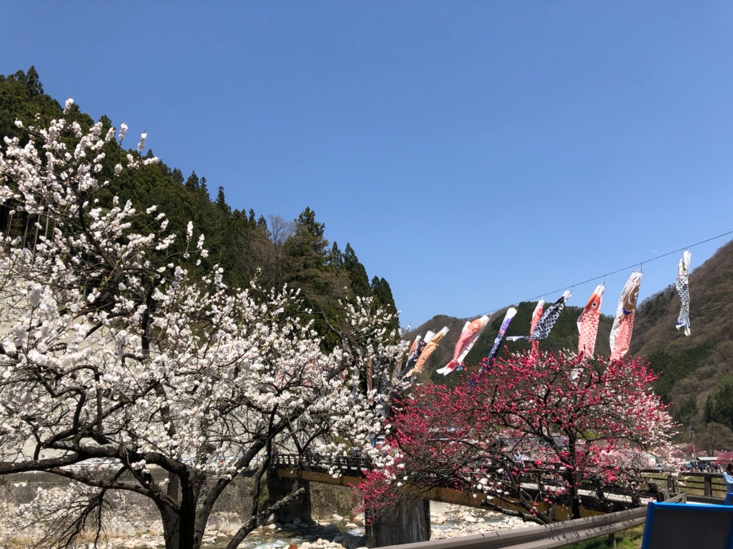 f:id:tabininjin:20210421221941j:image