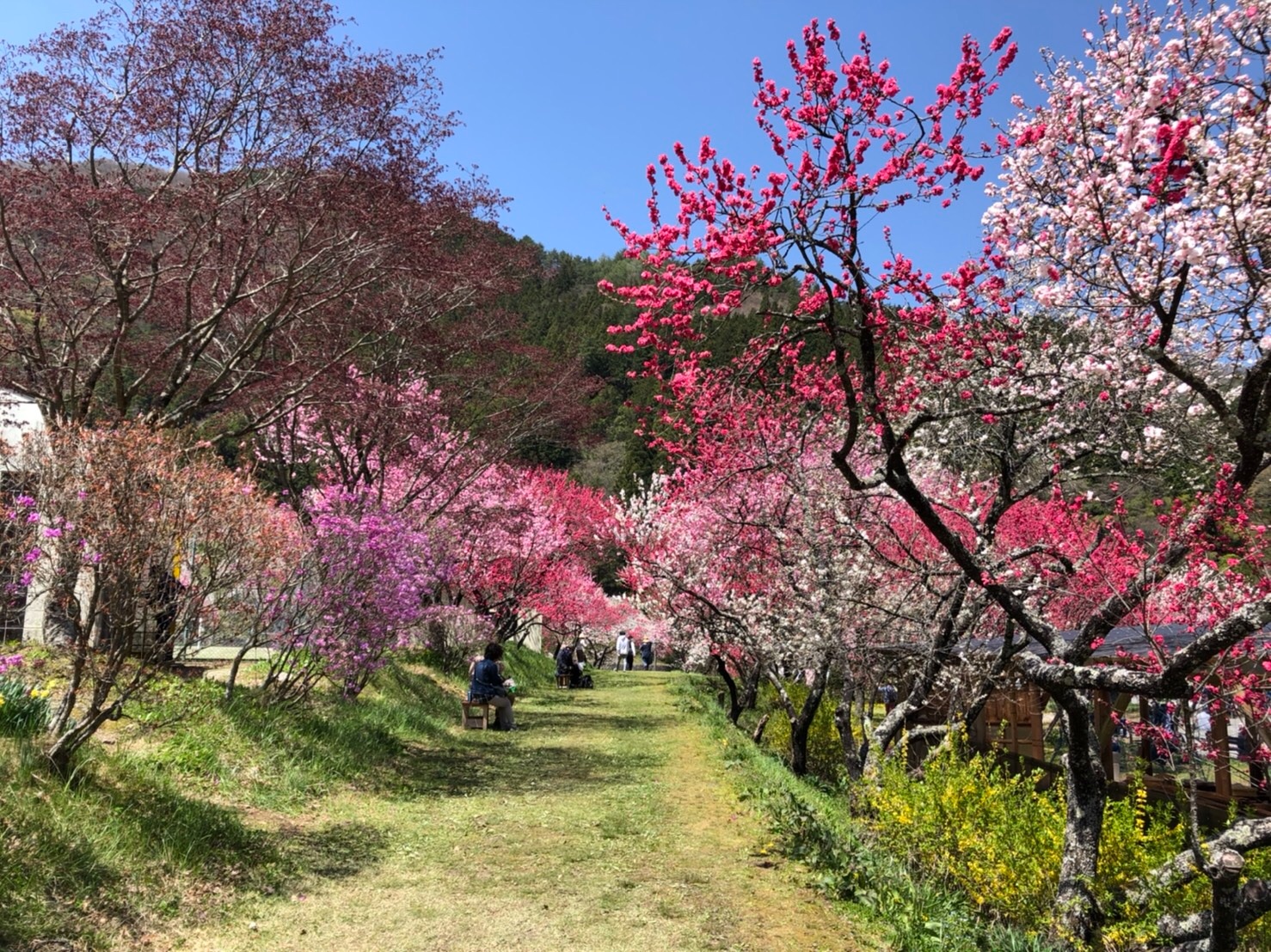 f:id:tabininjin:20210421221949j:image