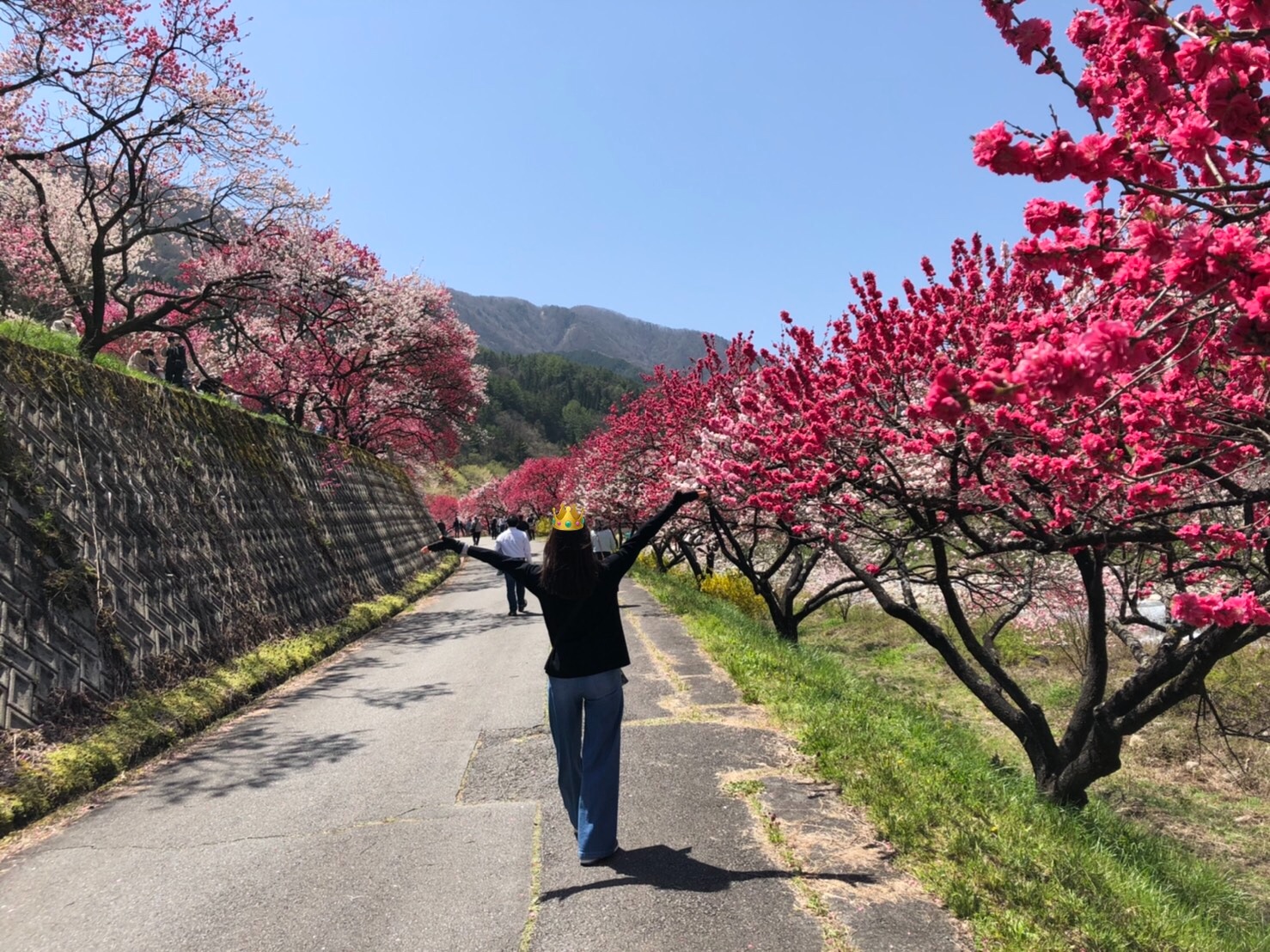 f:id:tabininjin:20210425000518j:image