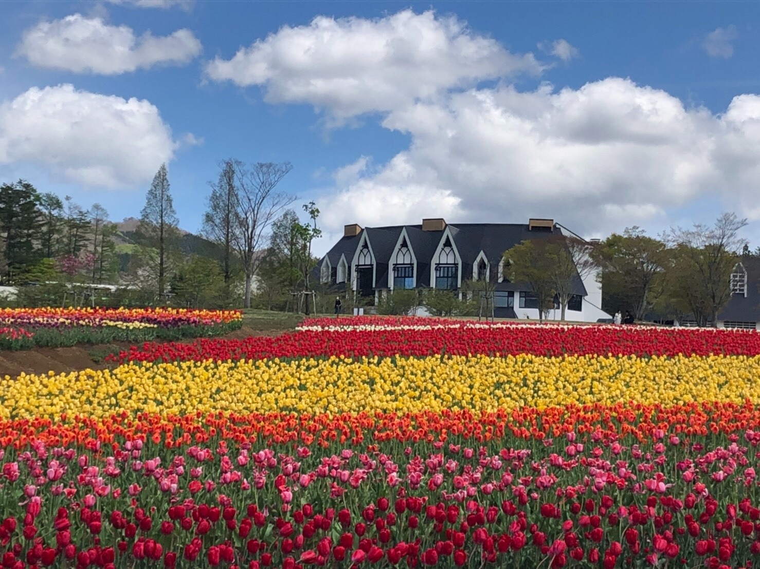 f:id:tabininjin:20210514012703j:image