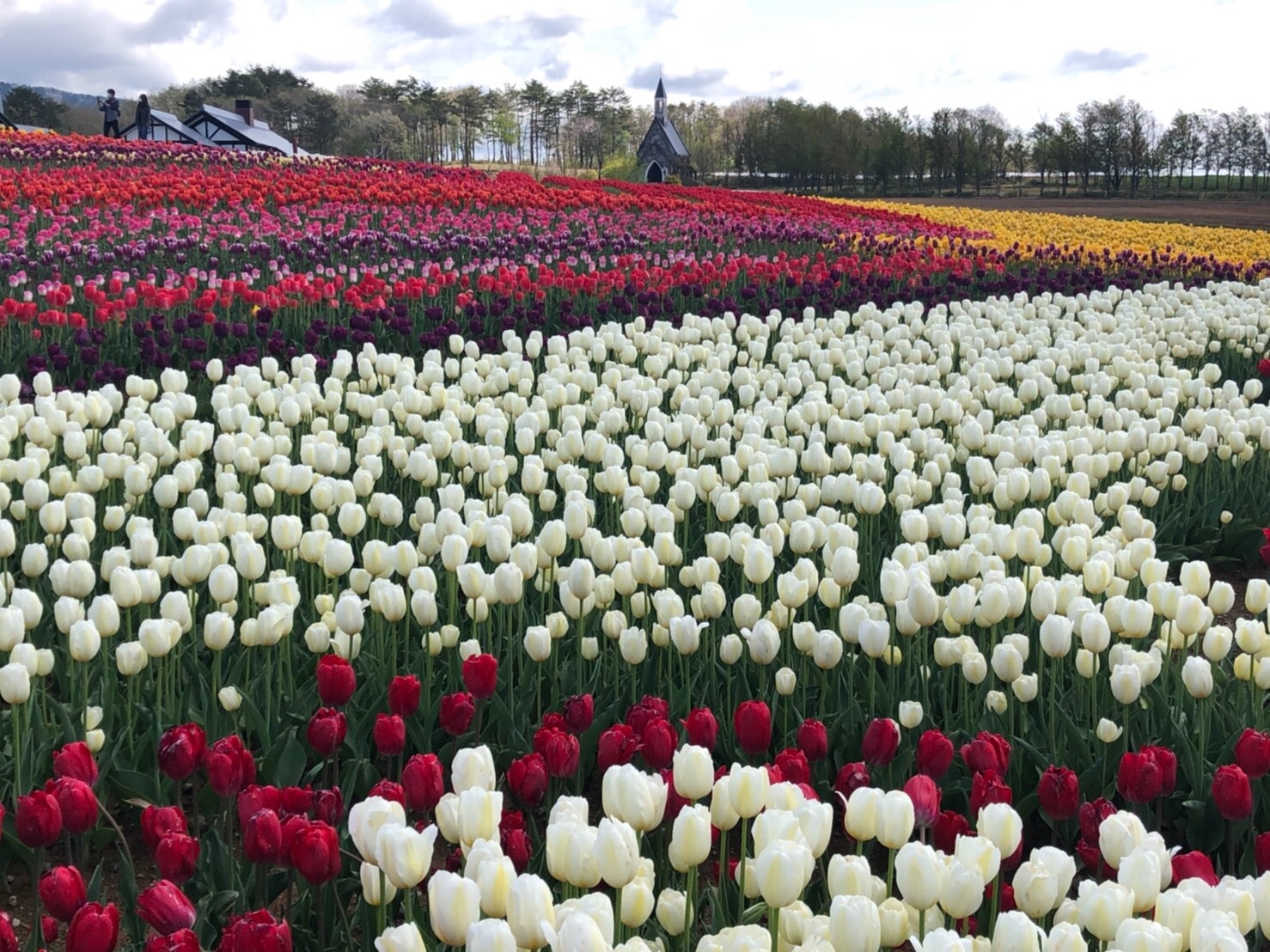 f:id:tabininjin:20210514012743j:image