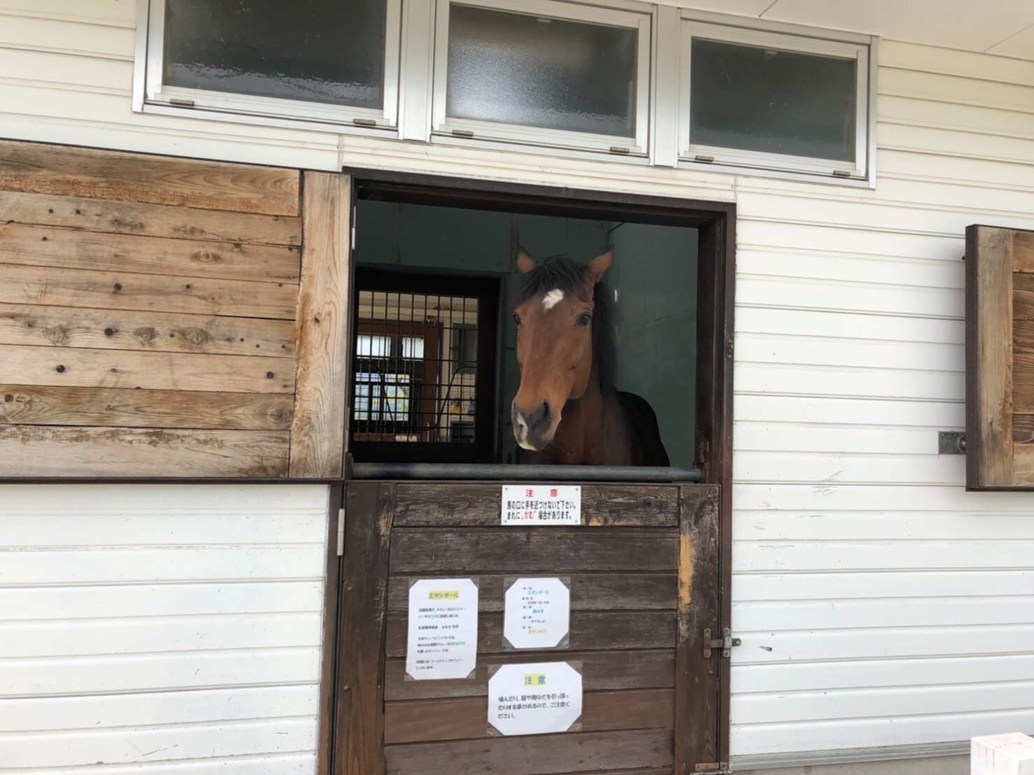 f:id:tabininjin:20210514201301j:image f:id:tabininjin:20210514201301j:image