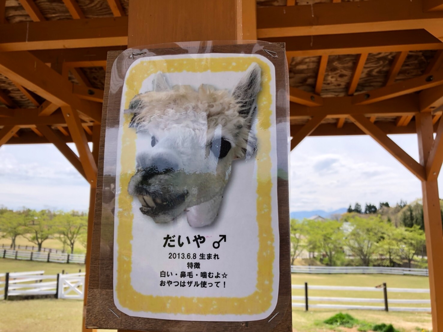 f:id:tabininjin:20210514201312j:image f:id:tabininjin:20210514201312j:image