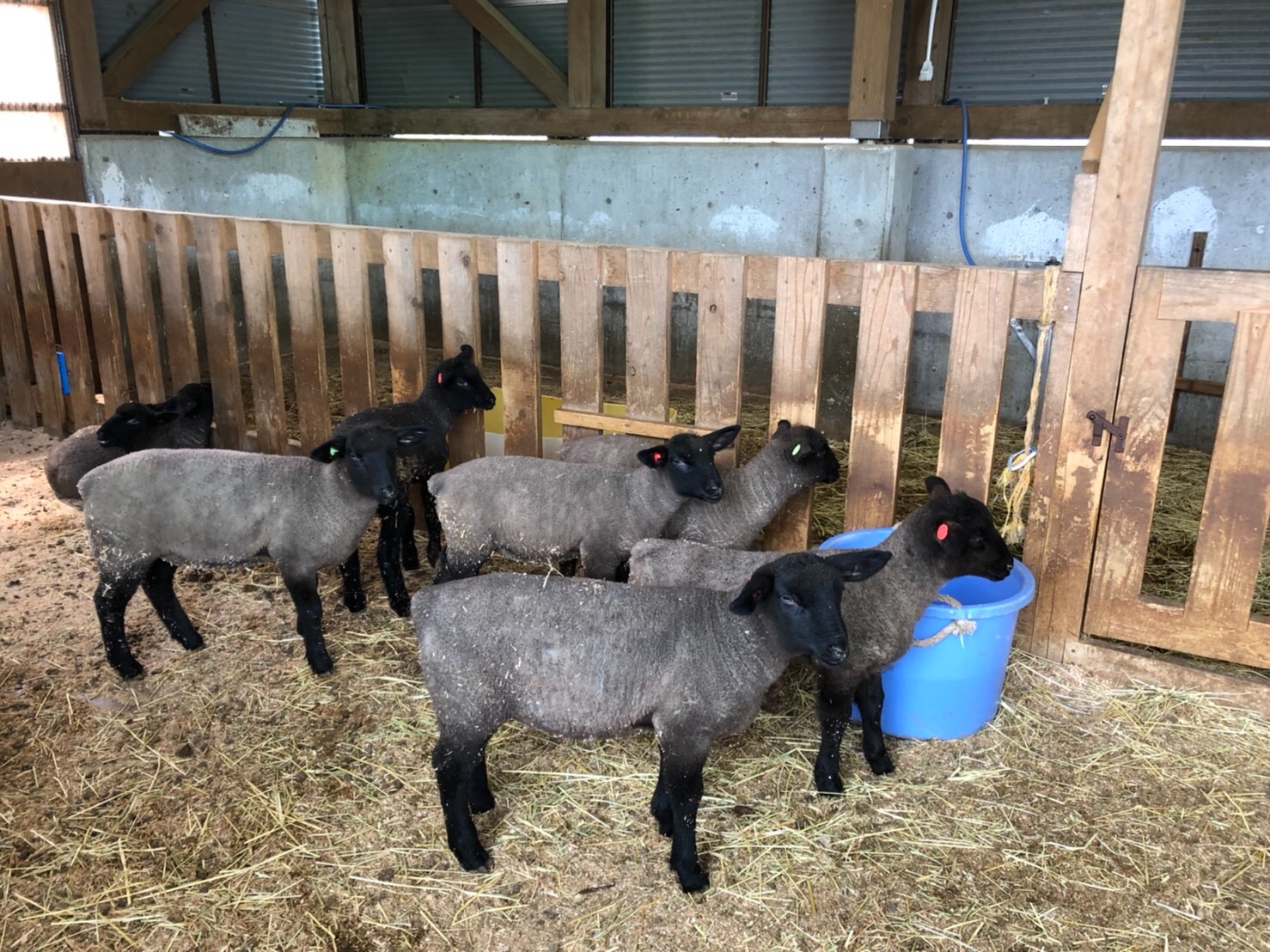 f:id:tabininjin:20210514201334j:image f:id:tabininjin:20210514201334j:image