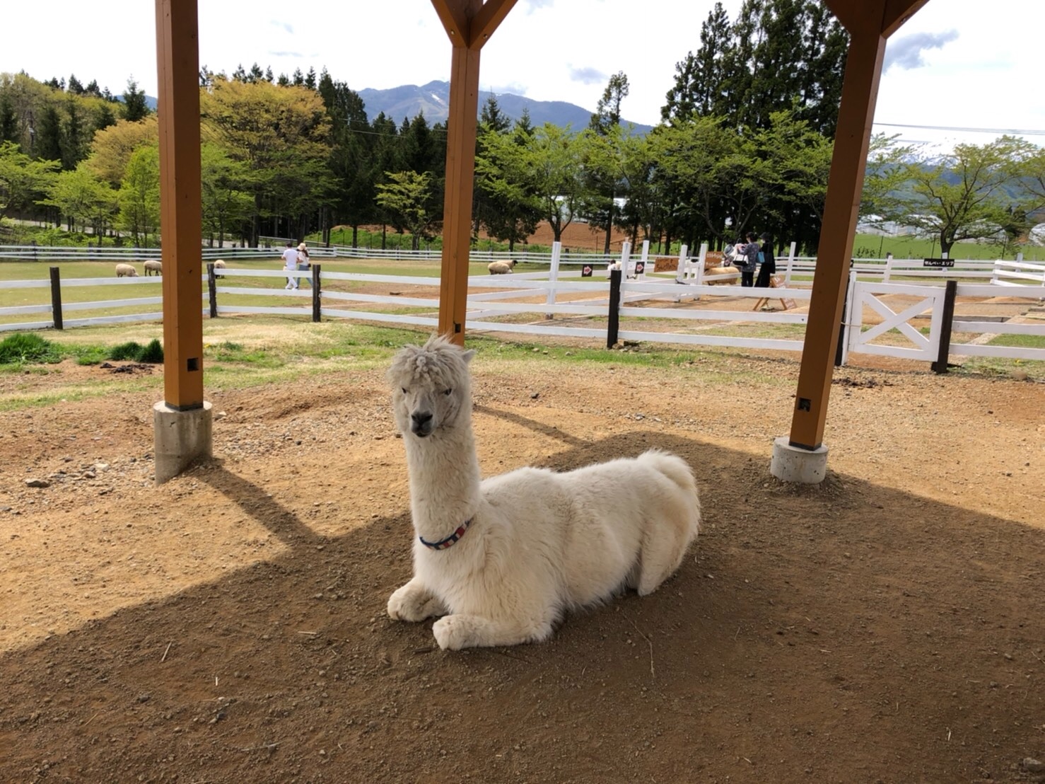 f:id:tabininjin:20210514201346j:image f:id:tabininjin:20210514201346j:image