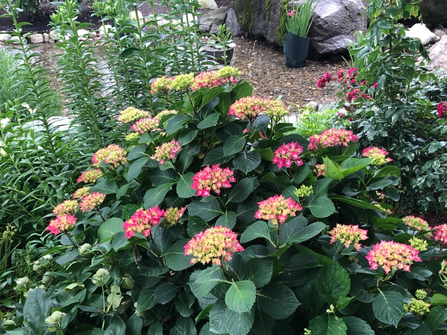 f:id:tabininjin:20210607141301j:image f:id:tabininjin:20210607141301j:image