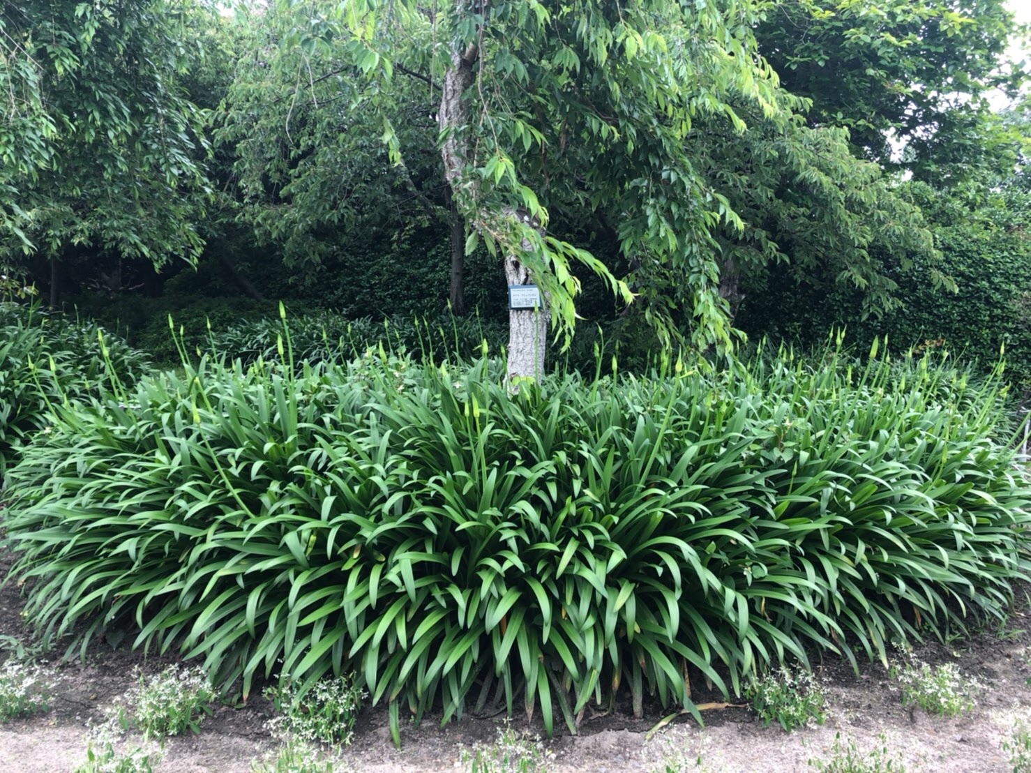 f:id:tabininjin:20210615154026j:image