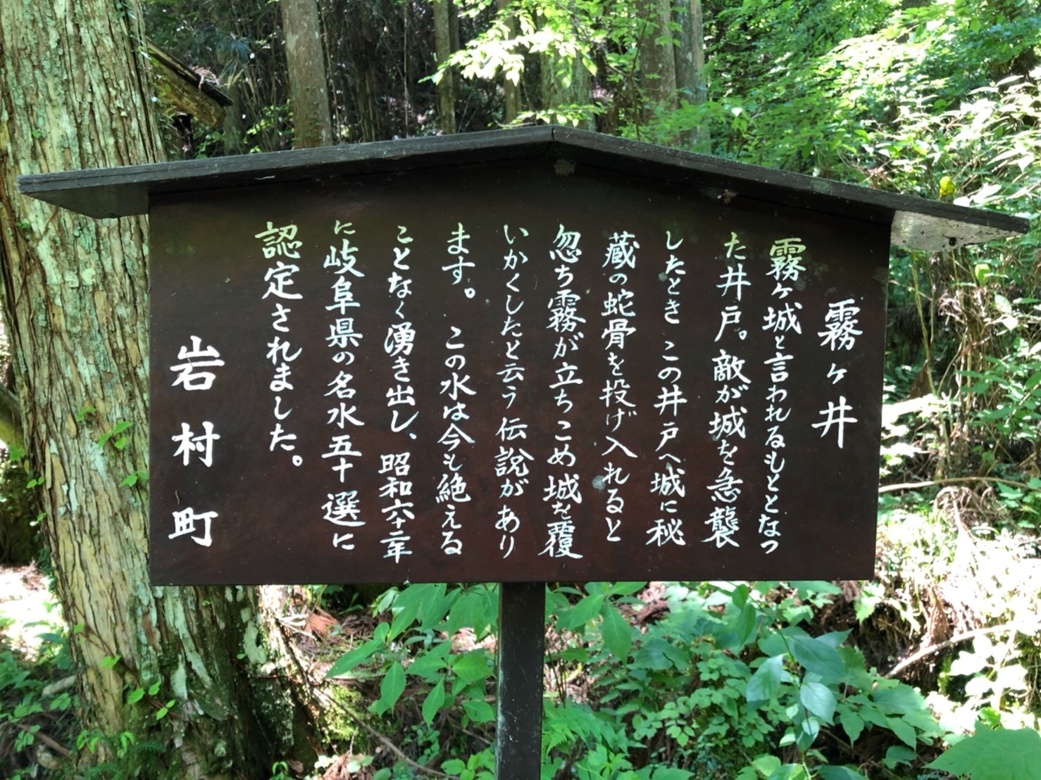 f:id:tabininjin:20210619130146j:image f:id:tabininjin:20210619130146j:image