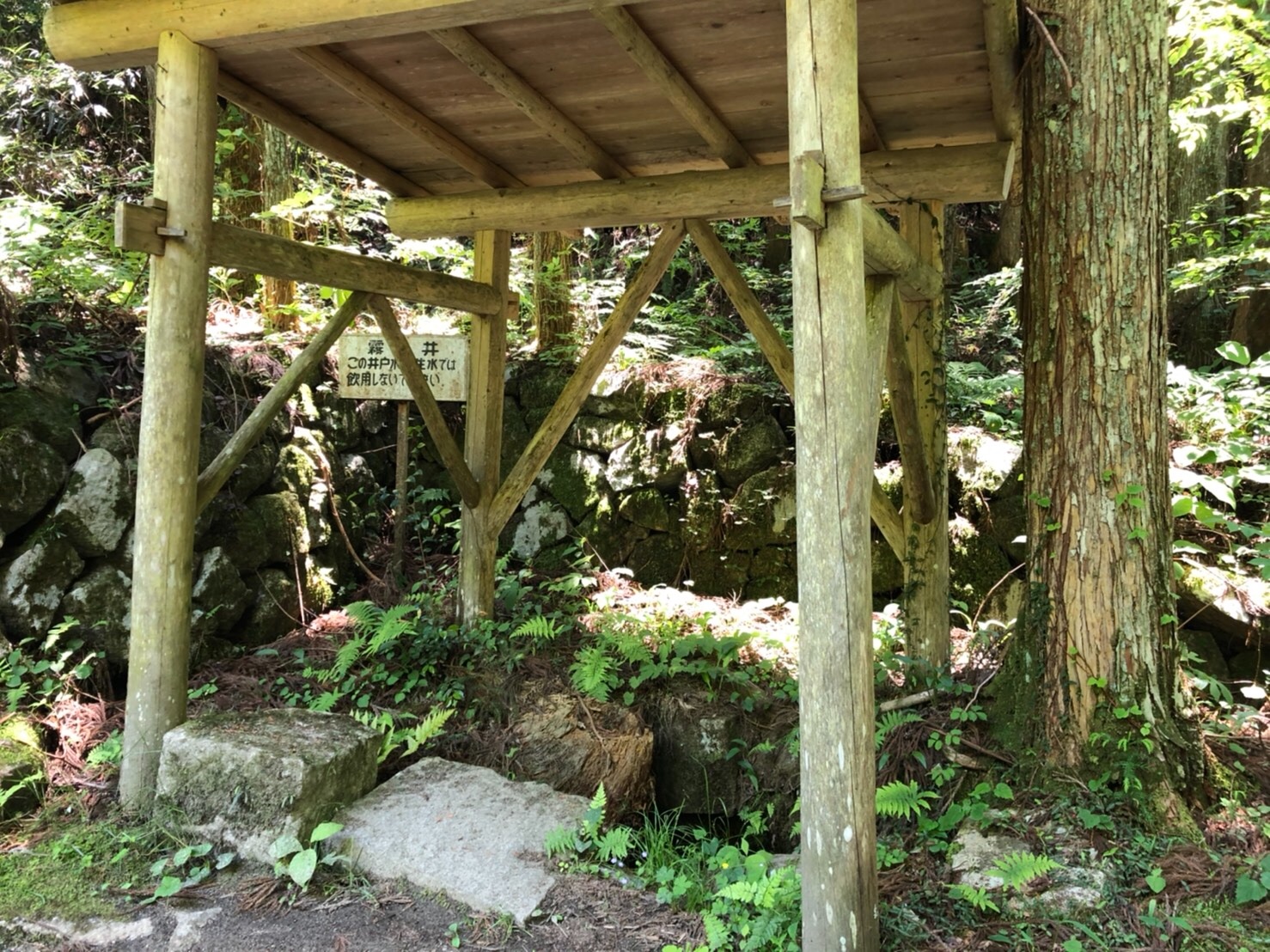 f:id:tabininjin:20210619130211j:image f:id:tabininjin:20210619130211j:image