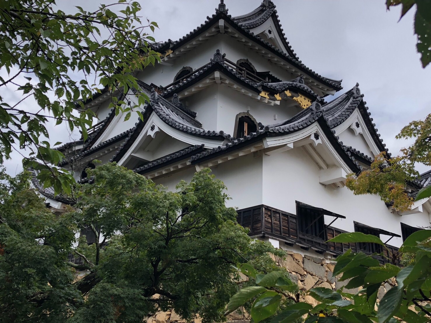 f:id:tabininjin:20210810185331j:image