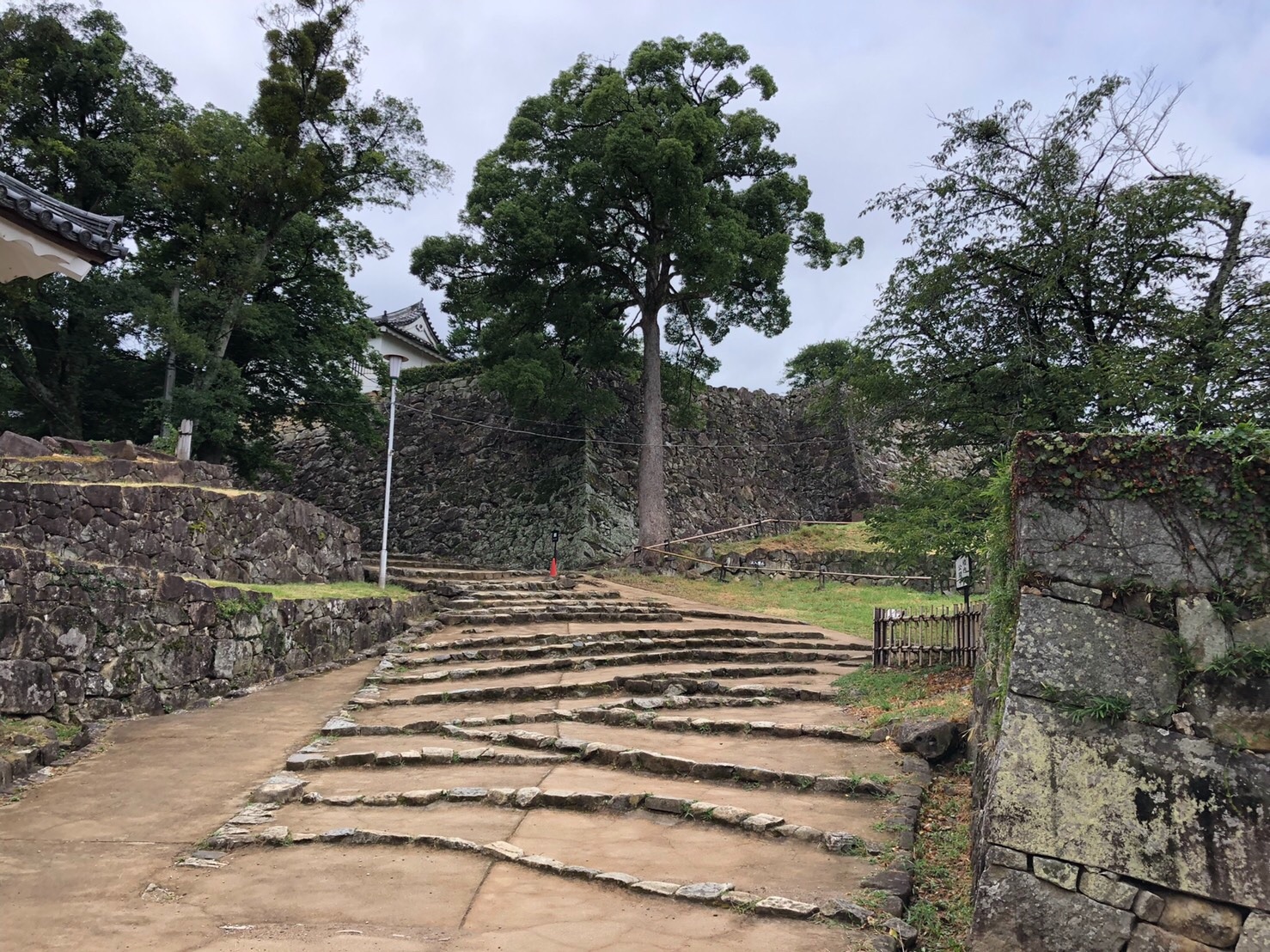 f:id:tabininjin:20210830231615j:image