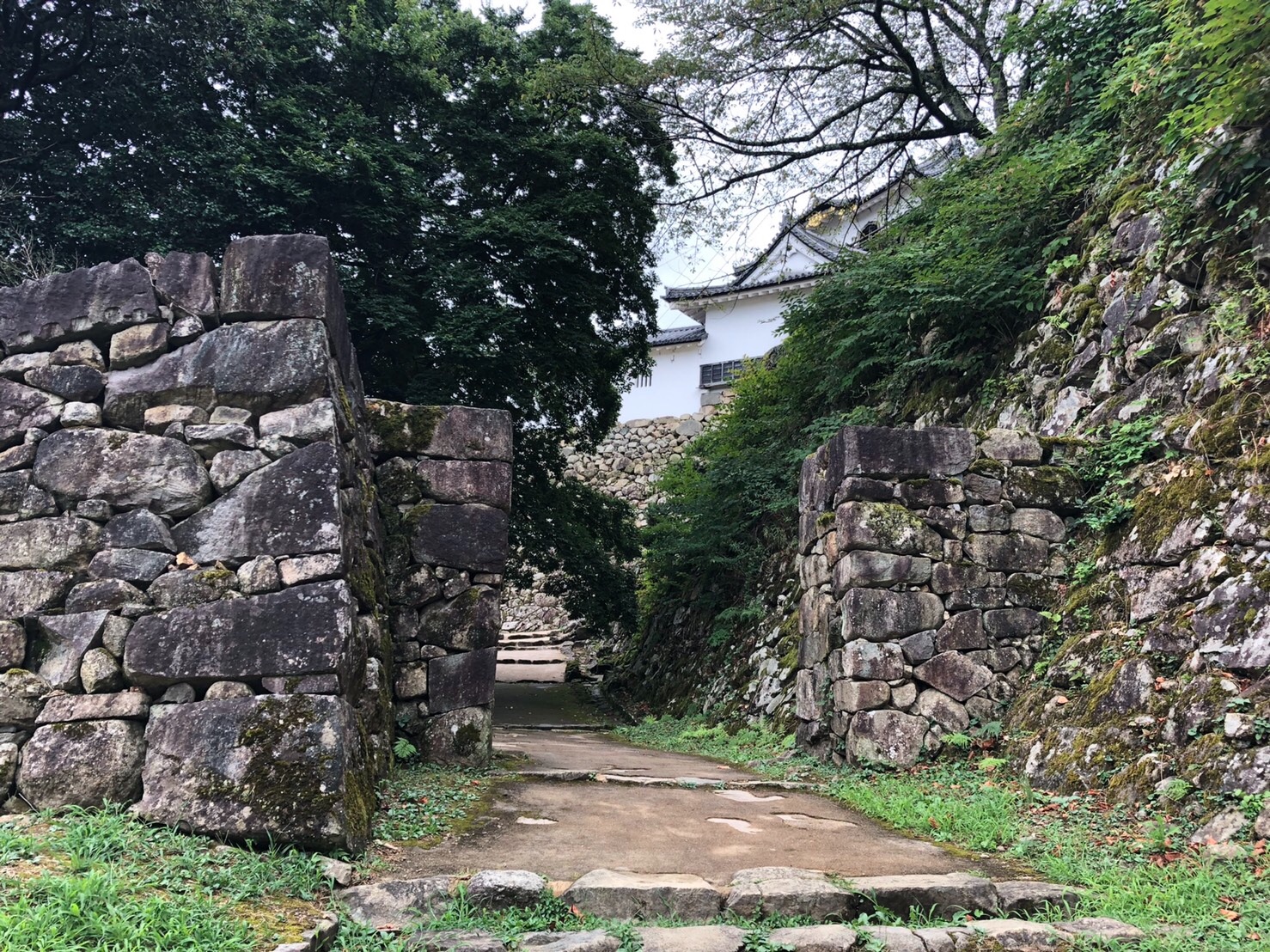 f:id:tabininjin:20210830231623j:image