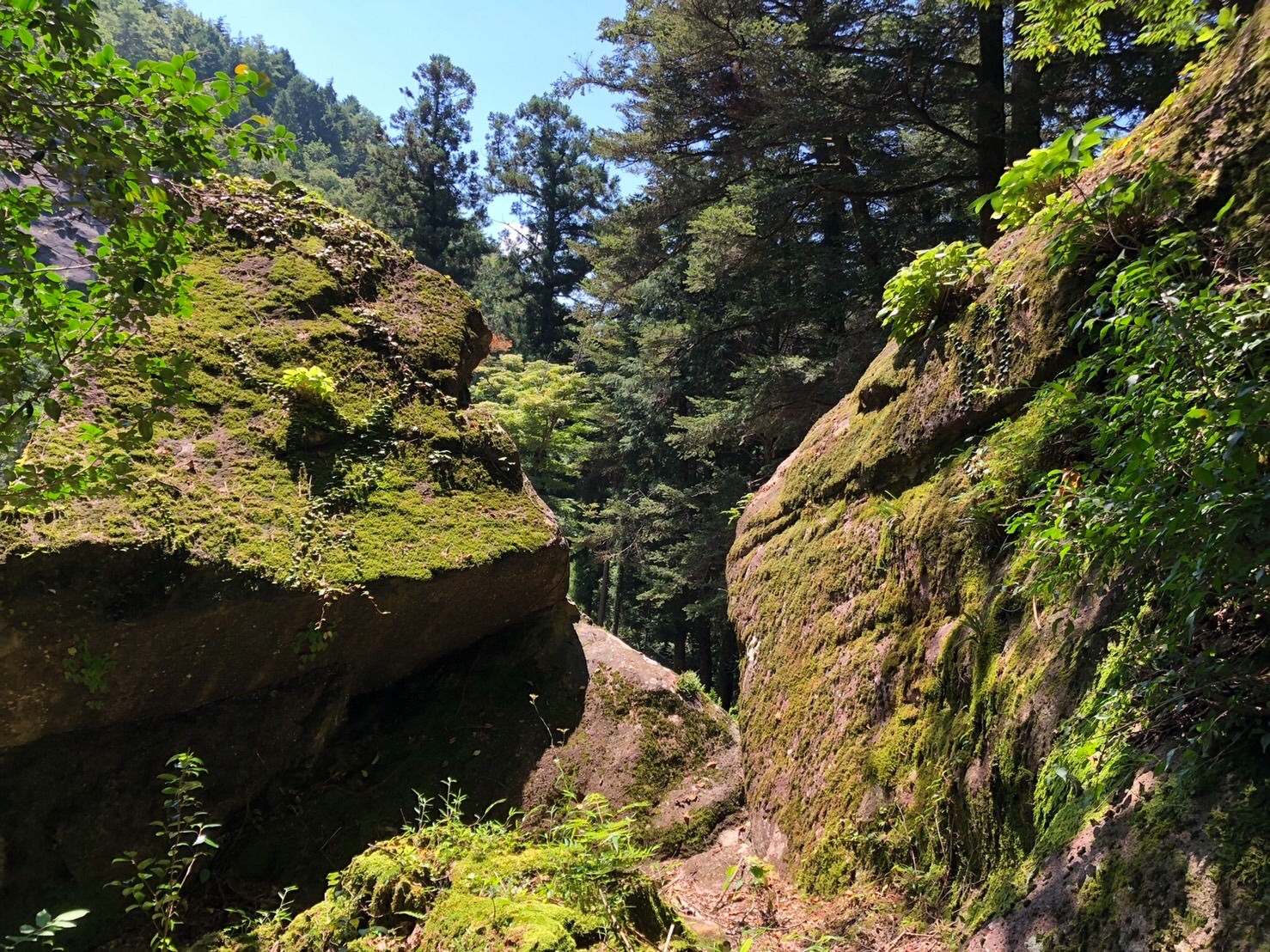 f:id:tabininjin:20210907235231j:image f:id:tabininjin:20210907235231j:image