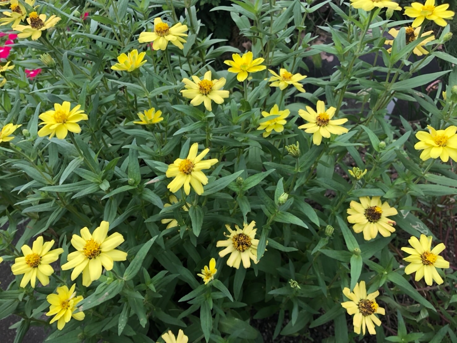 f:id:tabininjin:20210916095548j:image f:id:tabininjin:20210916095548j:image