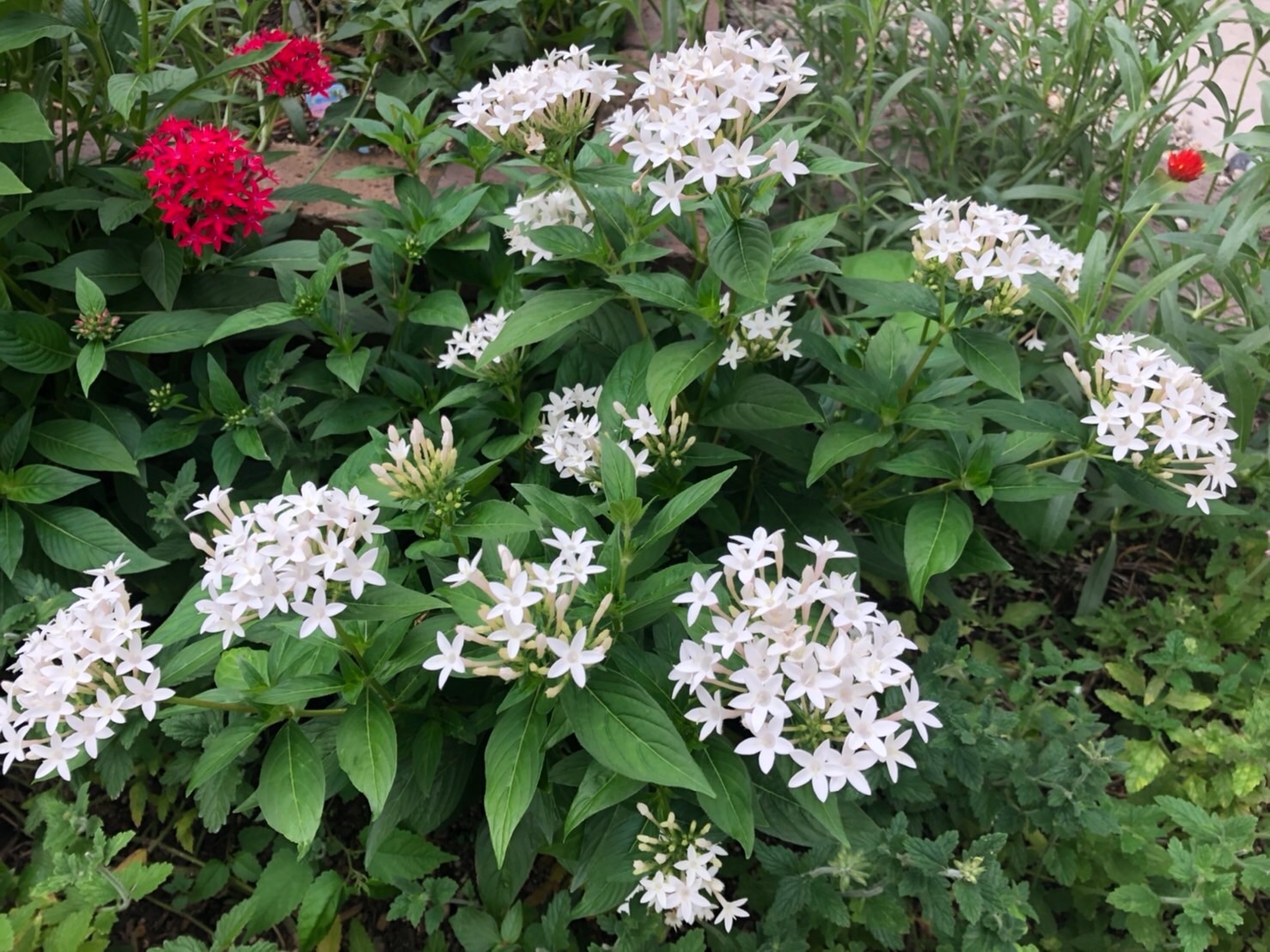 f:id:tabininjin:20210916095557j:image f:id:tabininjin:20210916095557j:image