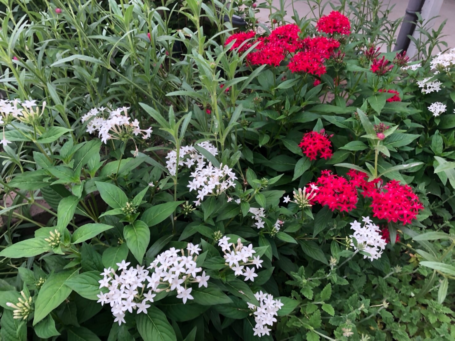 f:id:tabininjin:20210916095604j:image f:id:tabininjin:20210916095604j:image