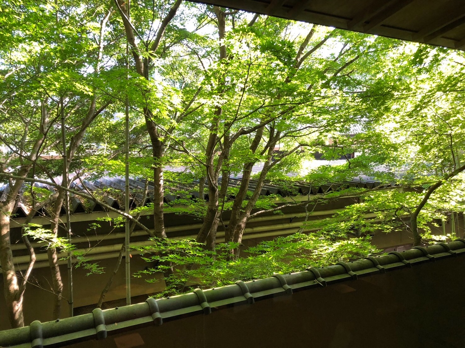 f:id:tabininjin:20210920114559j:image f:id:tabininjin:20210920114559j:image