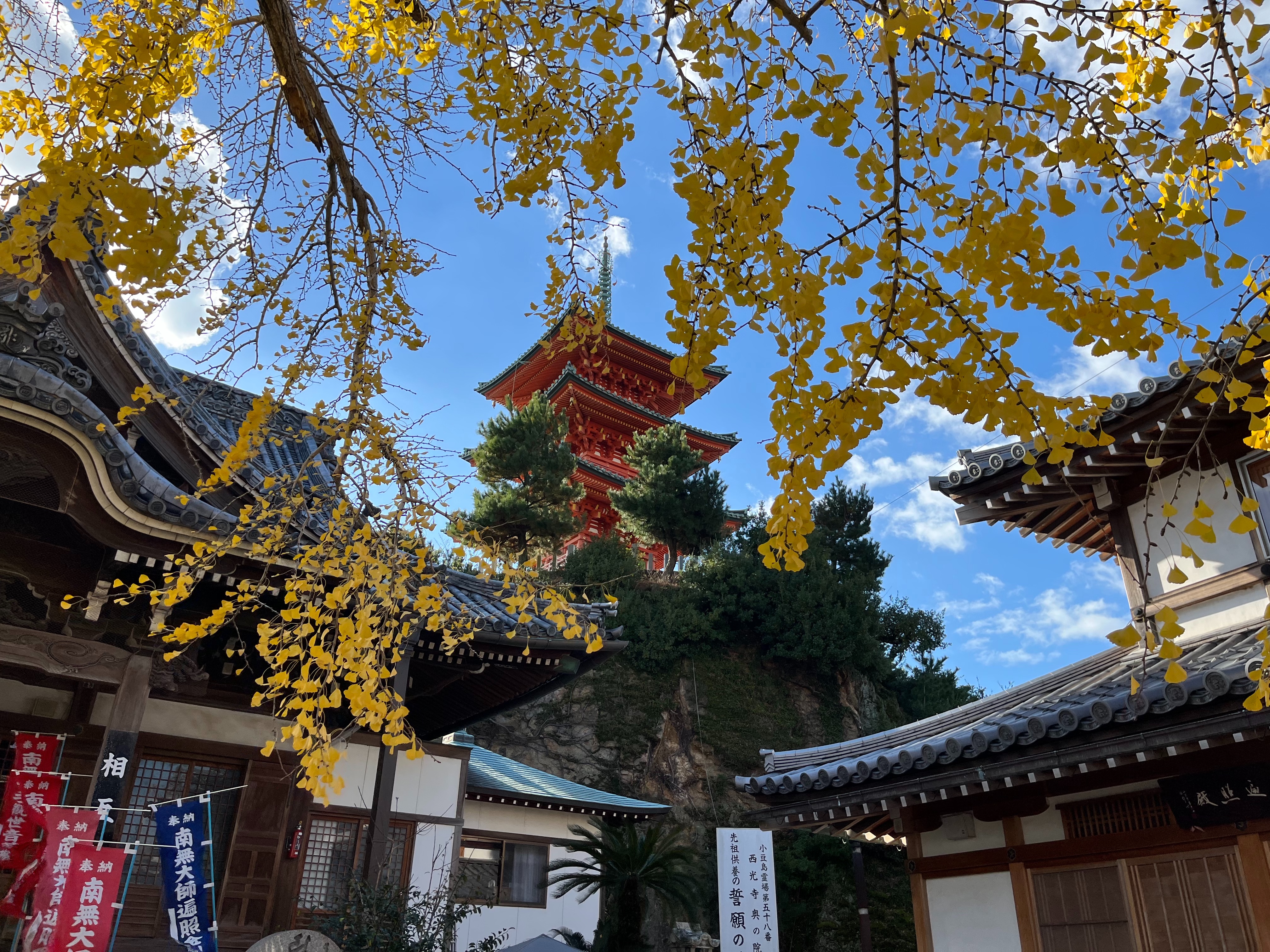 f:id:tabininjin:20220320202345j:image f:id:tabininjin:20220320202345j:image