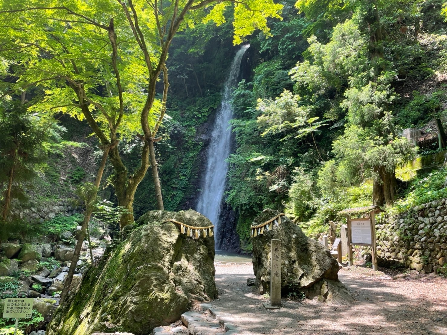 養老の滝』には、昔から文人・墨客が訪れているんですって