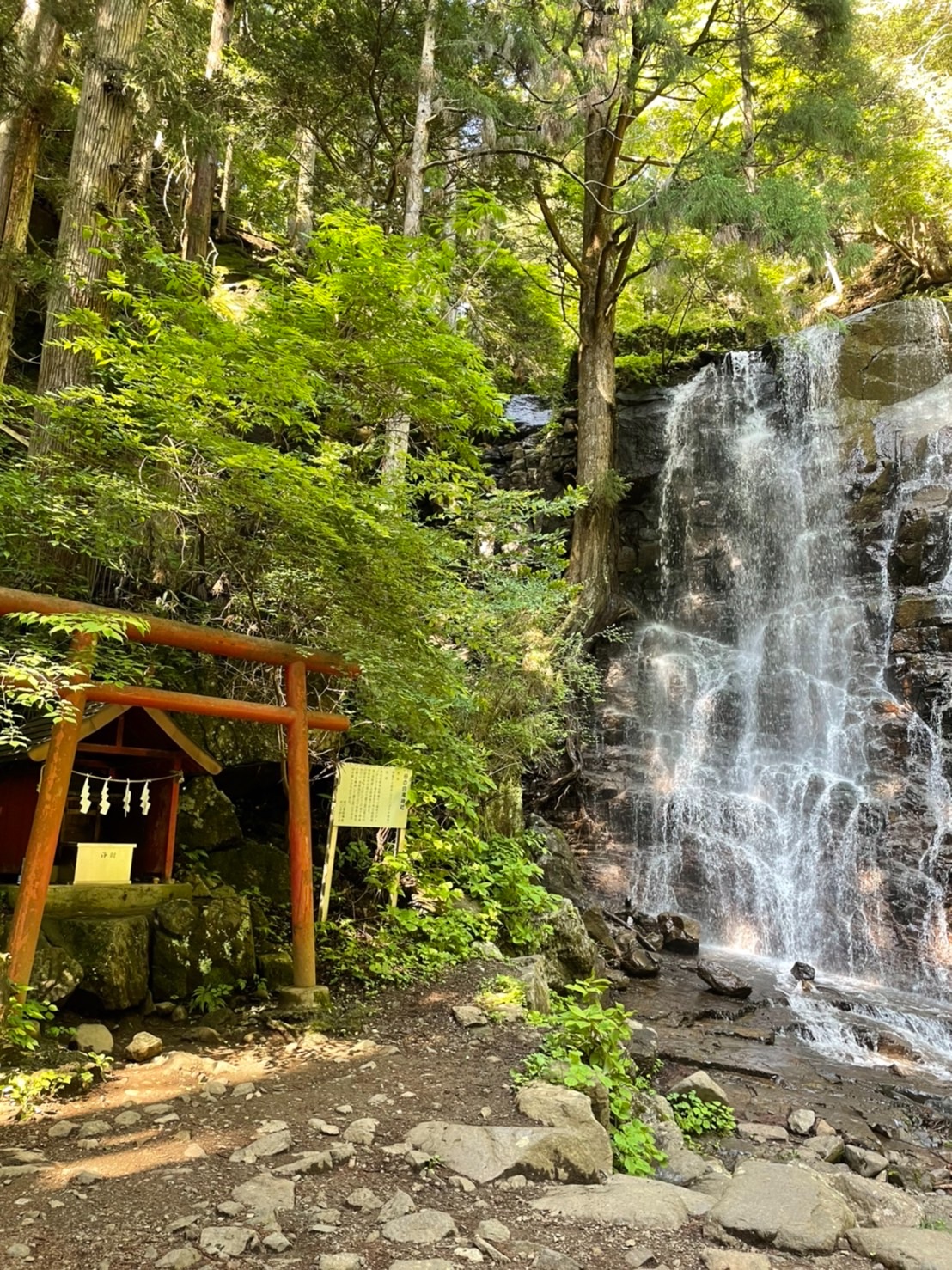 f:id:tabininjin:20220705124310j:image f:id:tabininjin:20220705124310j:image