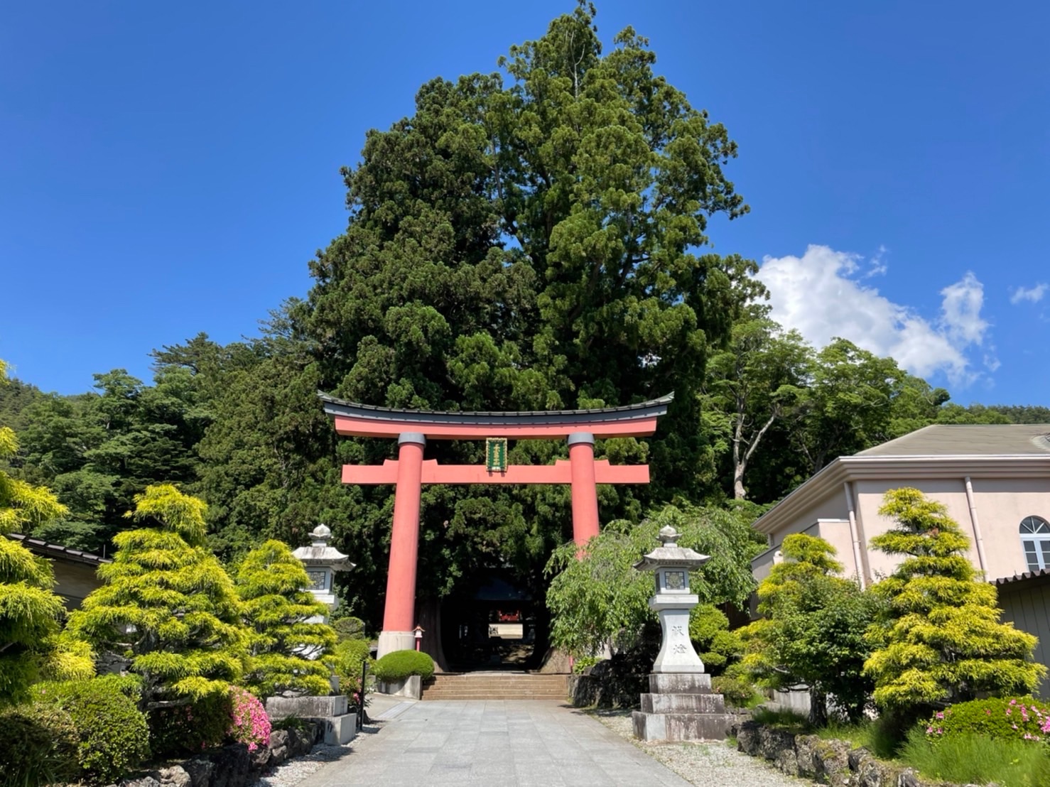 f:id:tabininjin:20220705124315j:image f:id:tabininjin:20220705124315j:image