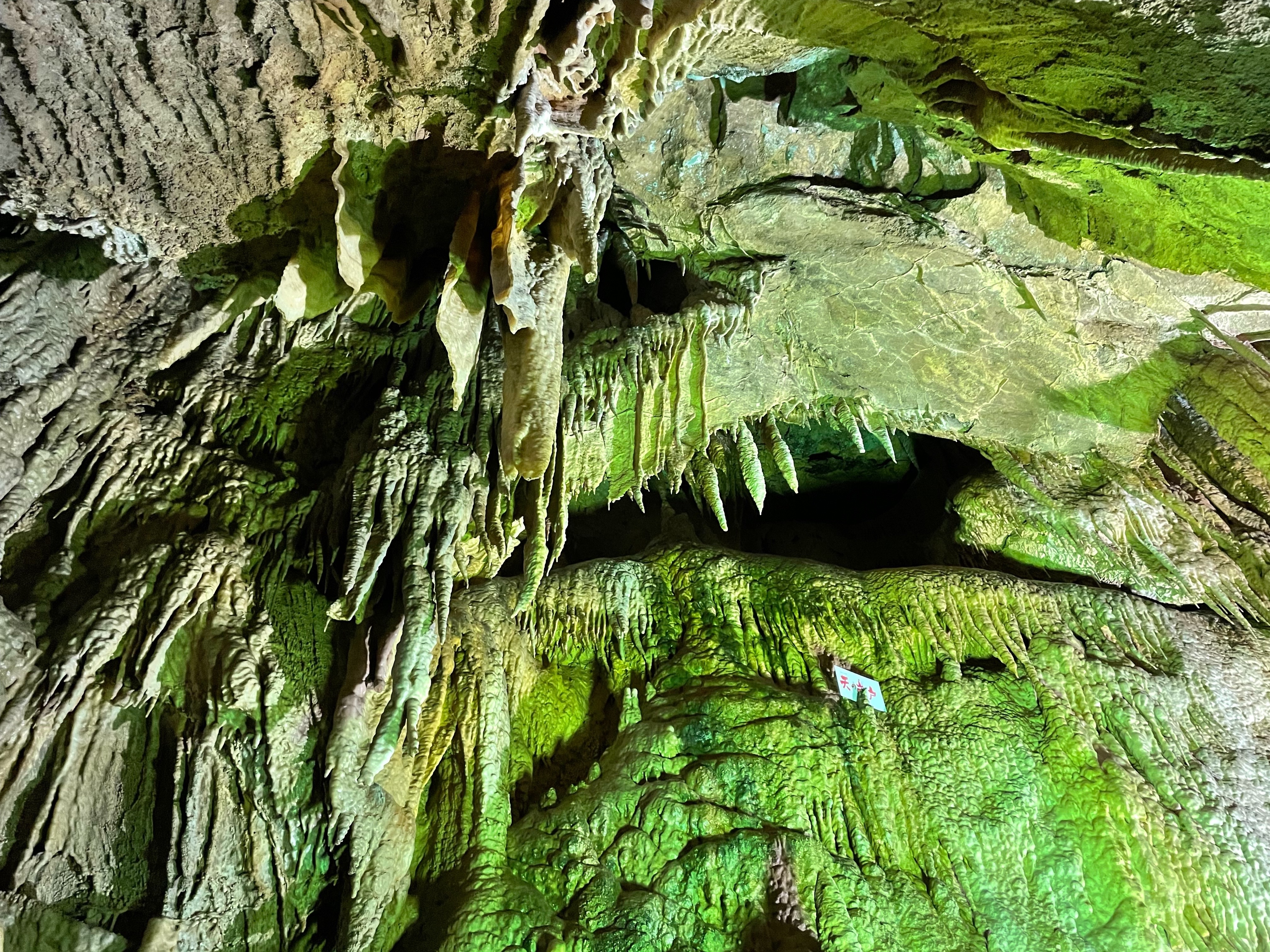 f:id:tabininjin:20220914231736j:image f:id:tabininjin:20220914231736j:image