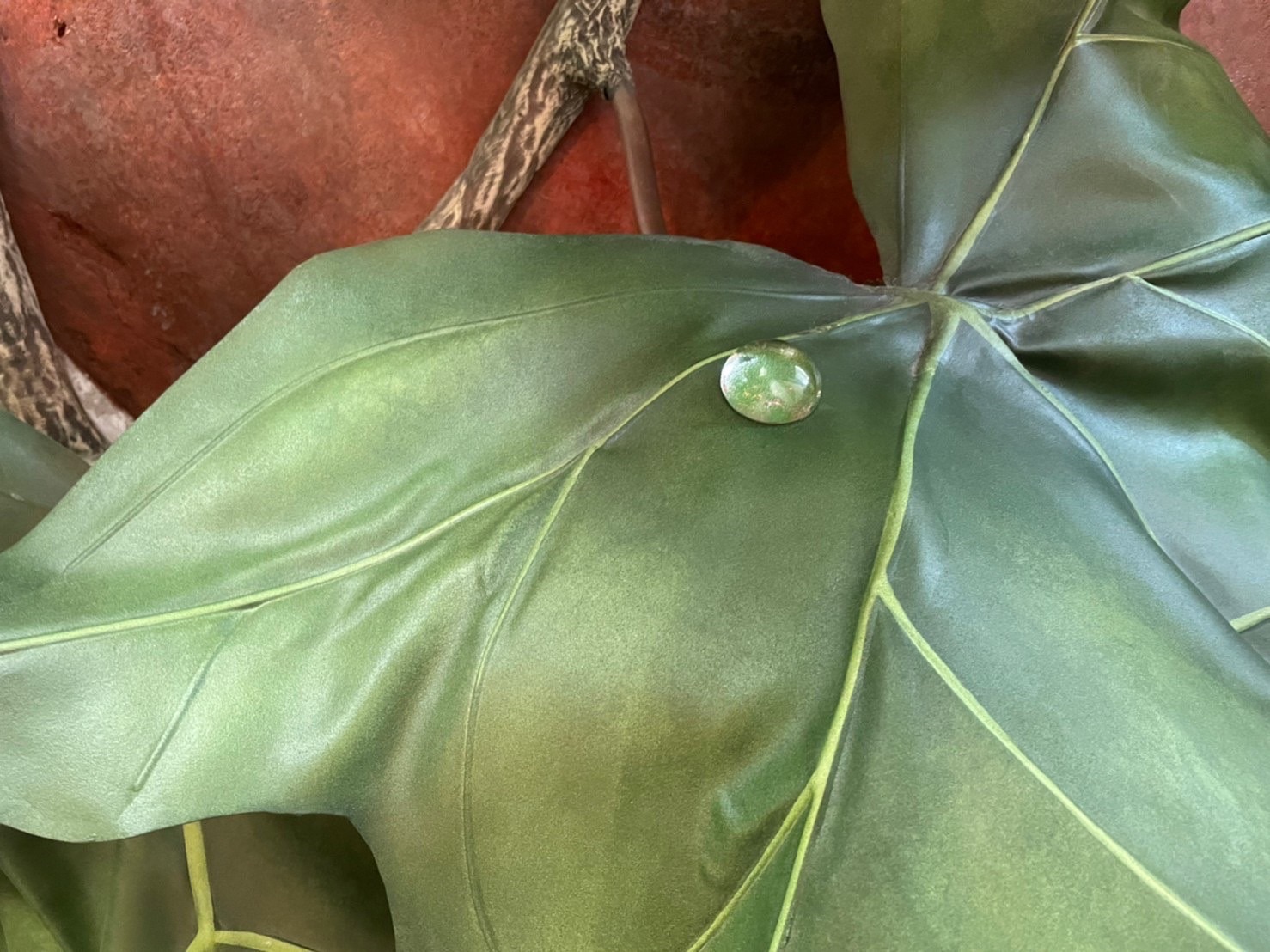 f:id:tabininjin:20221115204331j:image f:id:tabininjin:20221115204331j:image