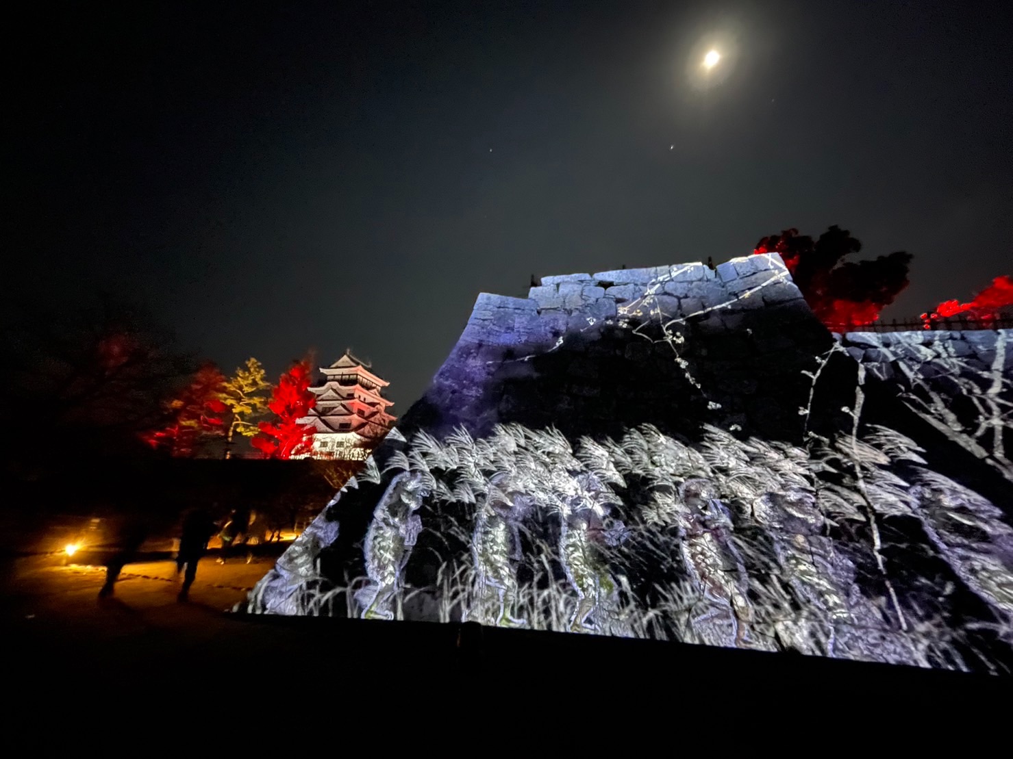 f:id:tabininjin:20221211013515j:image