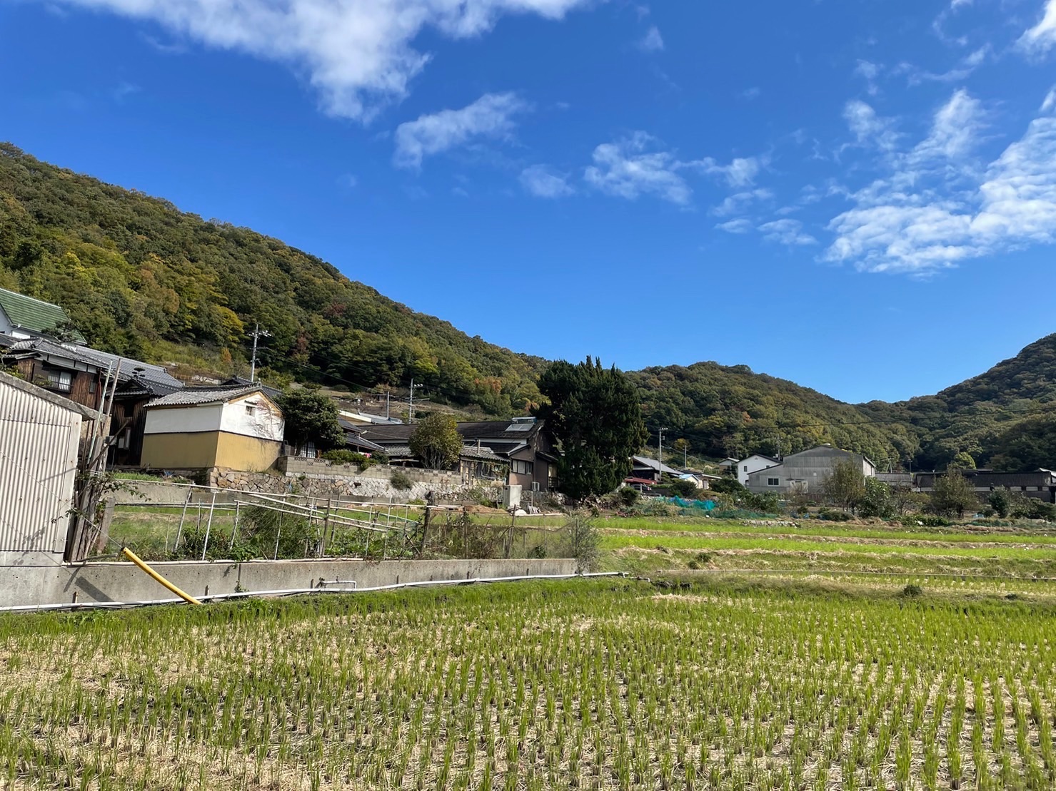 f:id:tabininjin:20230111231736j:image f:id:tabininjin:20230111231736j:image