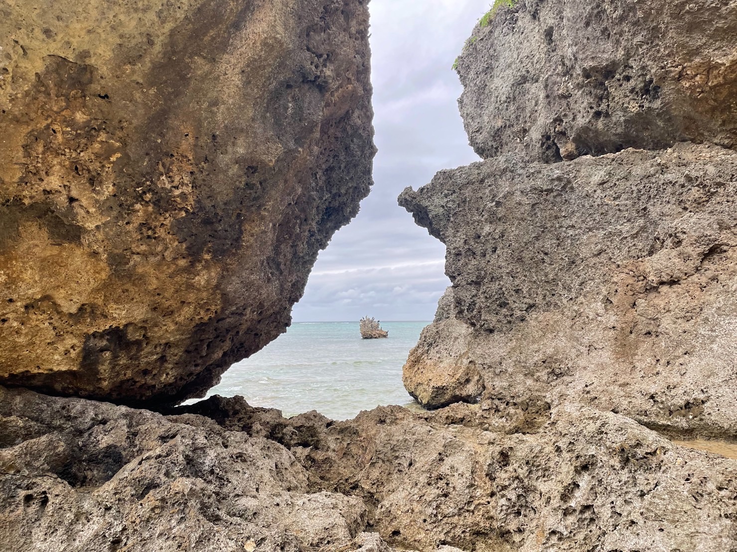 f:id:tabininjin:20230309131110j:image f:id:tabininjin:20230309131110j:image