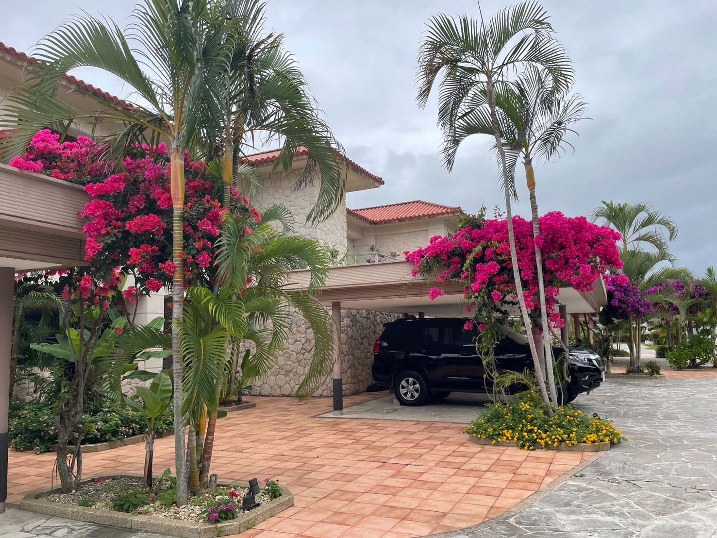 f:id:tabininjin:20240319020226j:image f:id:tabininjin:20240319020226j:image