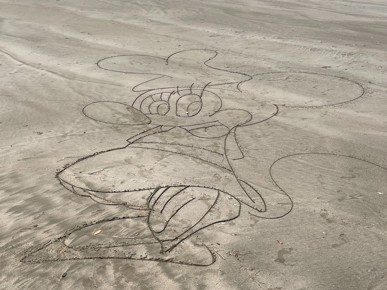 f:id:tabininjin:20240616133611j:image f:id:tabininjin:20240616133611j:image