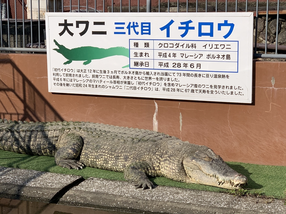 f:id:tabino-kanatani:20201115205430j:plain f:id:tabino-kanatani:20201115205430j:plain