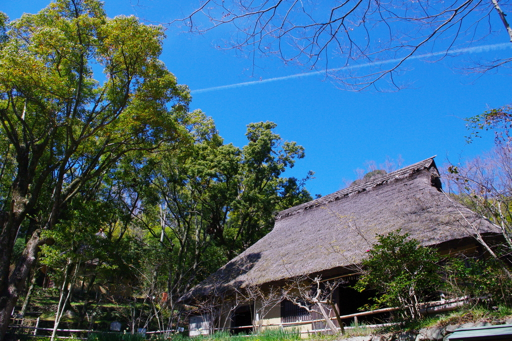 f:id:tabiog:20190310184403j:plain f:id:tabiog:20190310184403j:plain