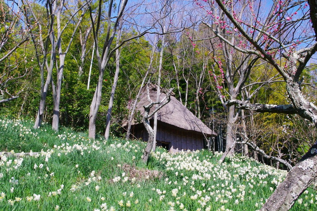 f:id:tabiog:20190310193533j:plain f:id:tabiog:20190310193533j:plain