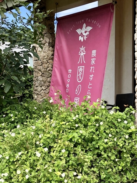 宮古島　楽園の果実