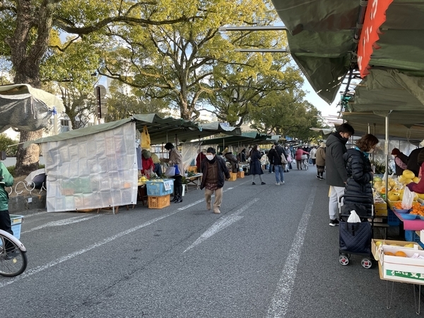 高知　日曜市