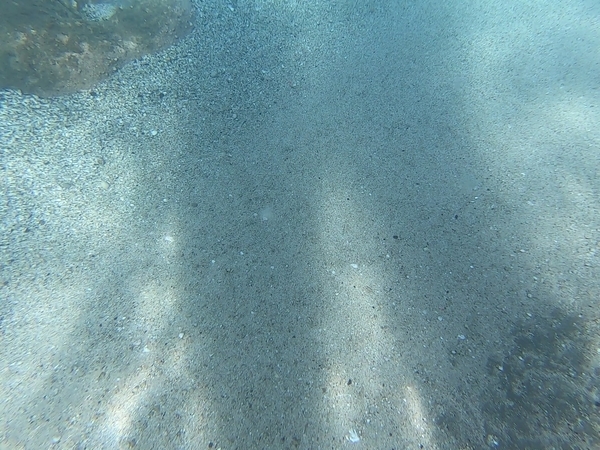 千歳川 支笏湖 水の中