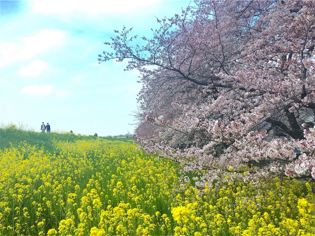 f:id:tabippurusenyou:20170323191204j:image f:id:tabippurusenyou:20170323191204j:image
