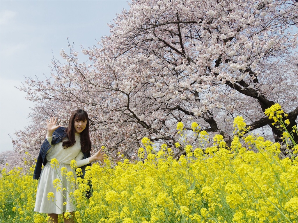 f:id:tabippurusenyou:20170323191239j:image f:id:tabippurusenyou:20170323191239j:image
