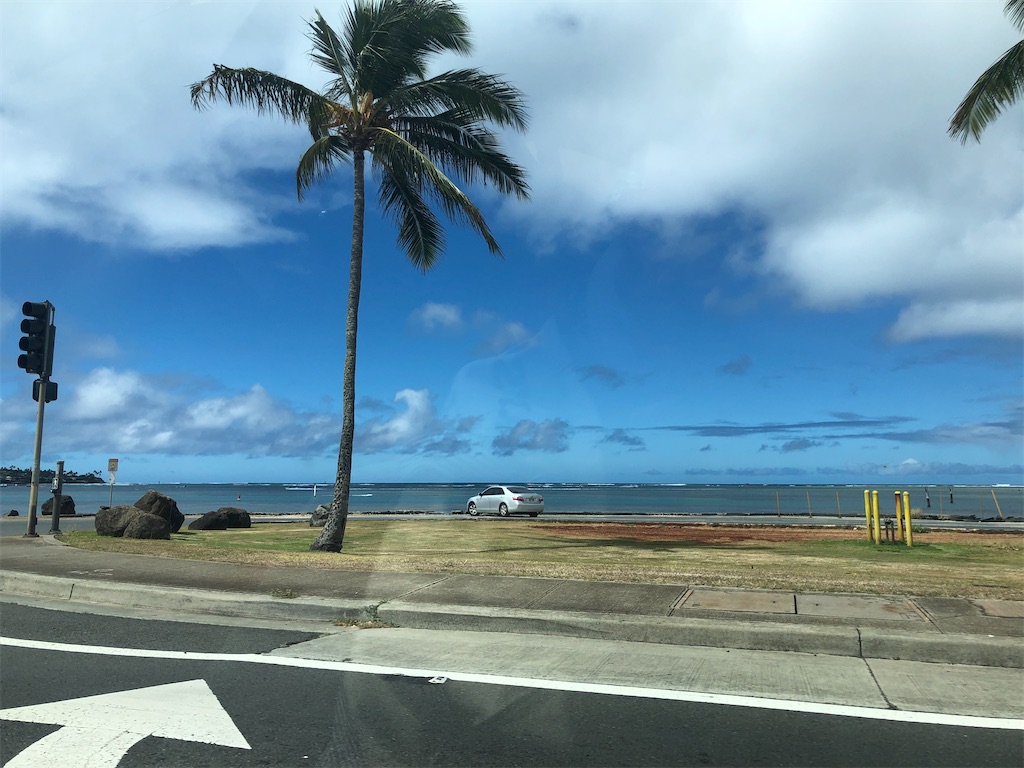 22 ハワイ旅 ハナウマ湾からの1日 旅らびっとの3匹暮らし