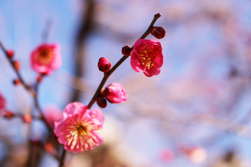 f:id:tabirin:20180214150040j:plain f:id:tabirin:20180214150040j:plain