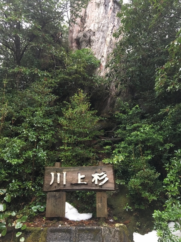 f:id:tabirin:20180221162121j:plain f:id:tabirin:20180221162121j:plain