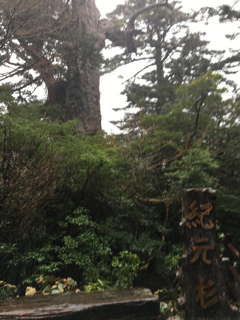 f:id:tabirin:20180221162316j:plain f:id:tabirin:20180221162316j:plain