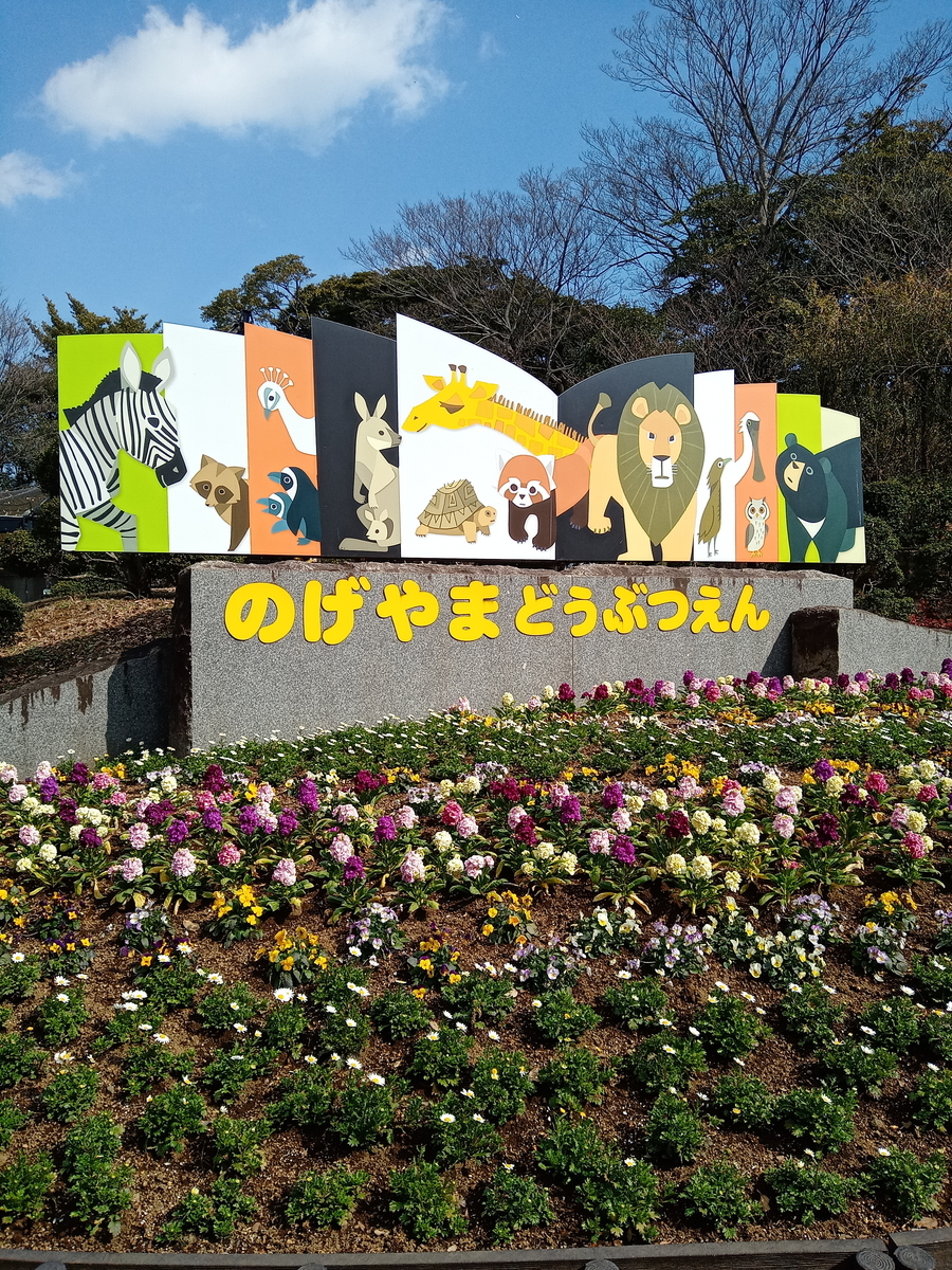 野毛山動物園 公園で童心に返る レッサーパンダも可愛いです ミドル女子のお出かけ情報サイト