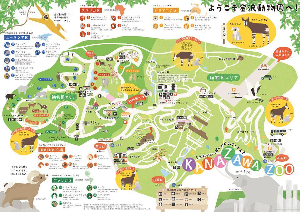 金沢動物園 園内ご紹介 コアラも可愛いです ミドル女子のお出かけ情報サイト