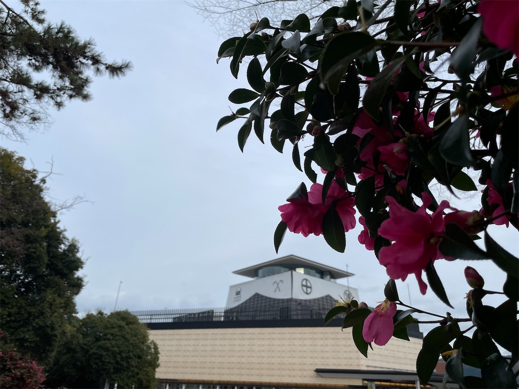 f:id:tabiryokouchang:20201215085246j:image